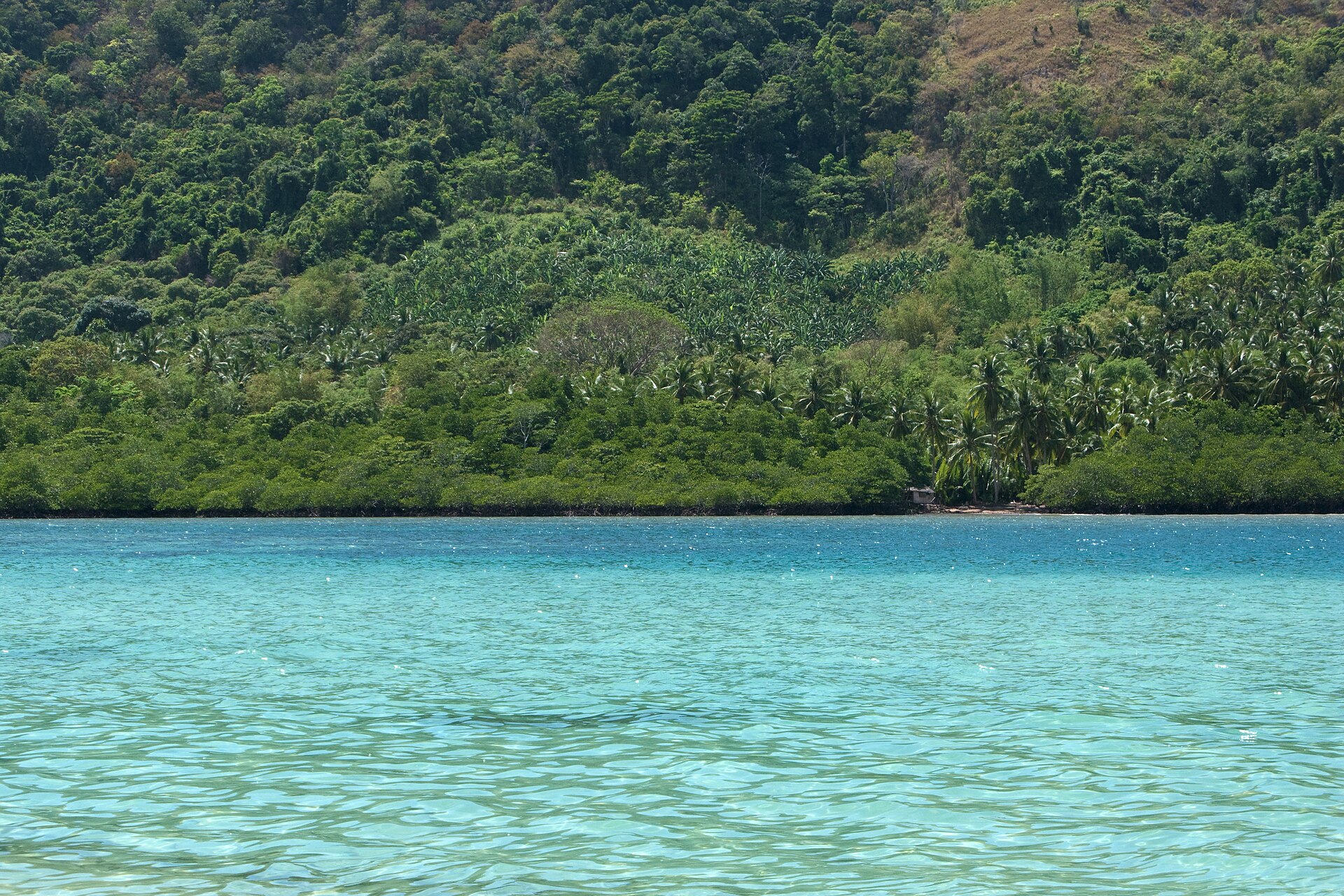 Palawan coastline Philippines